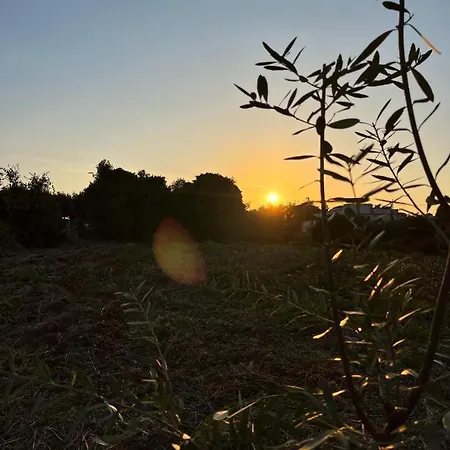 Holiday home Trullo Liliana